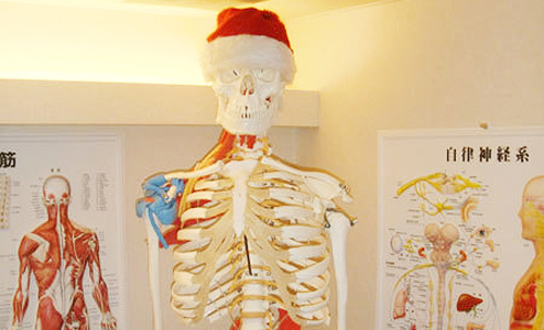サンタクロースの骨格模型
