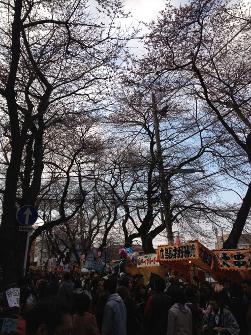 五香さくらまつり２