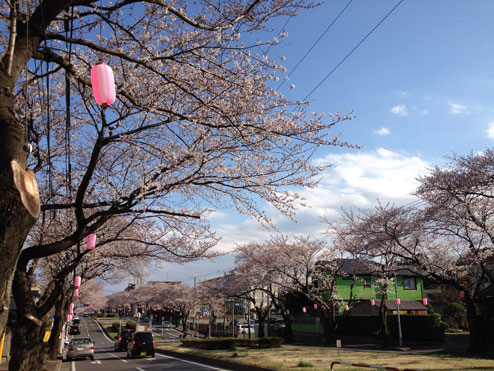 整体ボランティア